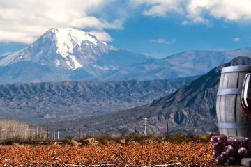 South America-Argentina-Wine Tour