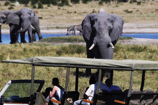 africa-botswana-4x4 safari-savute marsh