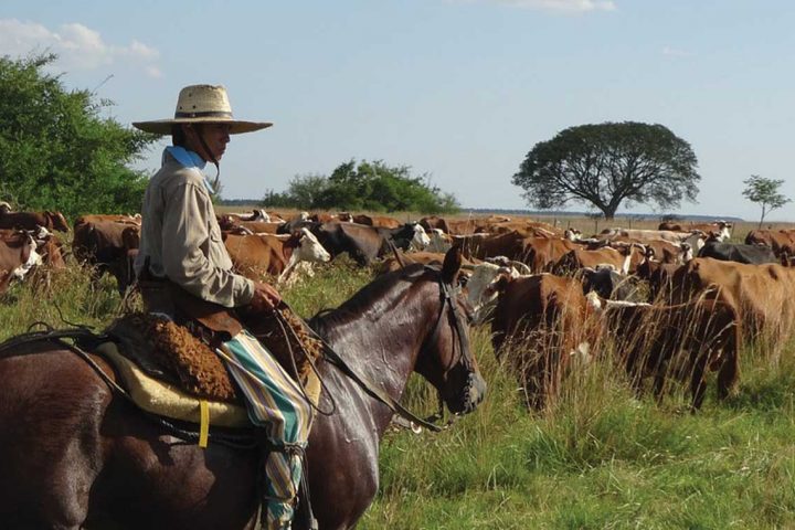 south america-argentina-gaucho-estancia