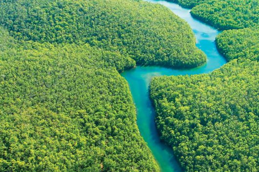 south america-brazil-amazon-river