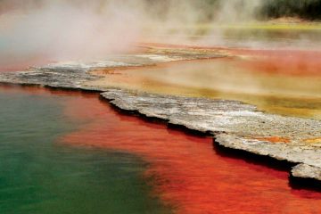 south pacific-new zealand-rotorua