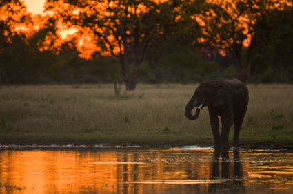 Zimbabwe