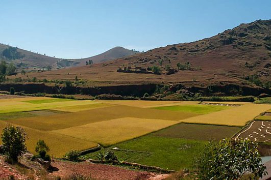 tour-africa-madagascar-countryside-rice-fields-mountains-pixabay-387672