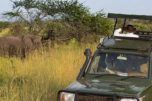 tour-africa-tanzania-serengeti-game-drives-elephant-skysafari-by-elewana