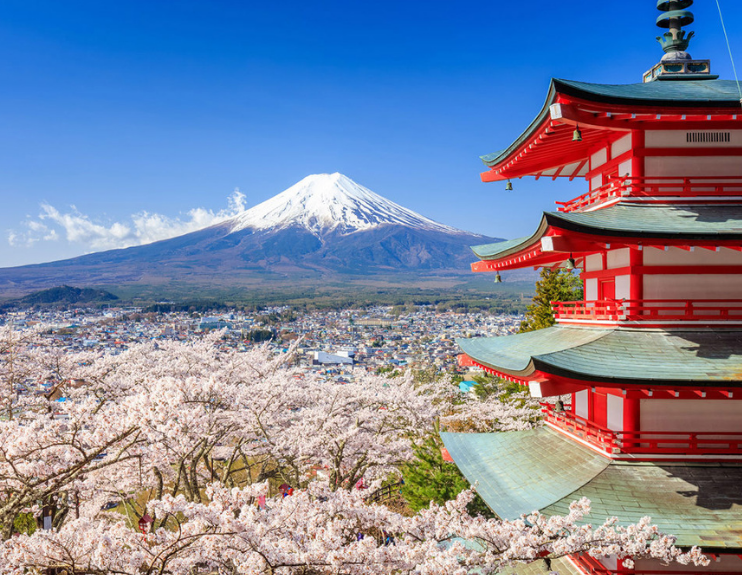 World of Tourcan Vacations